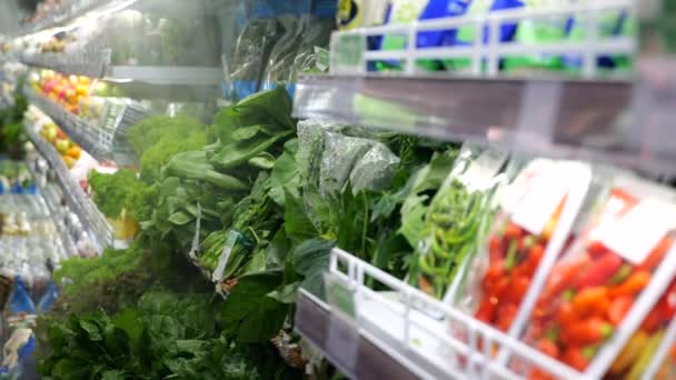 新鮮な野菜やハーブは美しくスーパーマーケットの棚を敷きました さまざまな種類の野菜と明るいサラダが目を引きます 野菜の大規模な選択は バランスのとれた健康的な食事を作成することができます — ストック動画