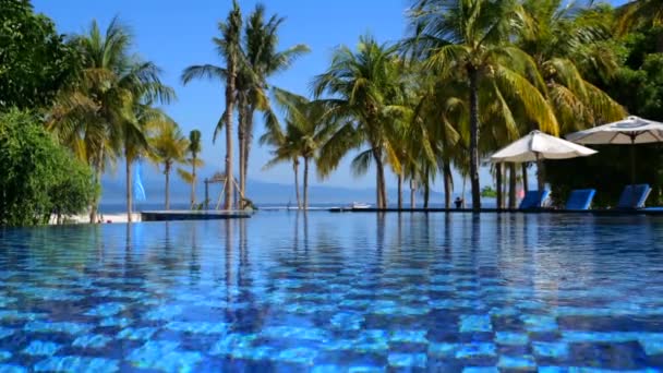 Schwimmbad Schatten Tropischer Palmen Weitwinkel Rechts Schwimmbad Gibt Liegestühle Unter — Stockvideo