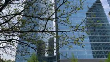 Yaprakların arasından Metropolis 'in cam gökdelenlerini görebiliriz. Gökdelenler ışınları yansıtıyordu. Doğal yeşillik ve şehir ve çevre arasındaki uyum gökdelenlerinin aksine.