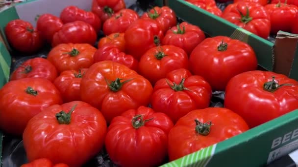 Close Shot Ripe Red Tomato Neatly Stacked Wooden Box Tomato — Stock Video