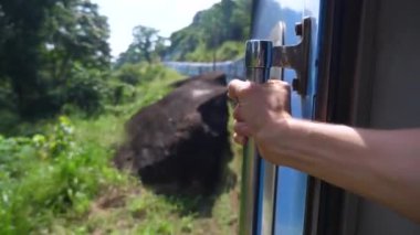Açık kapı treninden sarkan kadın gezgin, hızla geçen manzaraları zevkle seyrediyor. Tren raylar boyunca koşar, bilinmeyen yerlere gider. Trenden bilinmeyen yerleri özümseyecek bir gezgin