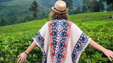 Arka manzara yolcusu zümrüt çay tarlalarında yürüyor Sri Lanka. Eller hassas taze yapraklara dokunur aromayı ve güzellik tarlasını emer uçsuz bucaksız yeşil tarlalar huzur verir.