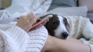 Woman shopping online on phone together with dog lying on legs. Owner and pet spend time together, combining shopping and relaxation. They feel warm and cozy together, even during everyday activities.