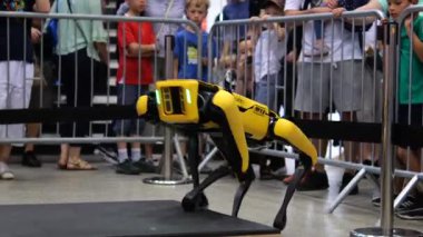 Varşova, Polonya - 01 Mayıs 2024: Gelişmiş robotik dört ayaklı araçlar kalkmış engelleri aşarak, kamu teknolojik performansları sırasında gelişmiş mühendislik becerileri gösteriyor
