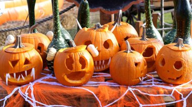 Oyulmuş balkabakları turuncu ağ üzerinde dinlenen tuhaf, ürkütücü ifadeler sergiliyor, mevsimsel yaratıcılık ve şenlik mizahı sergileyen neşeli cadılar bayramı dekorasyonu yaratıyor.