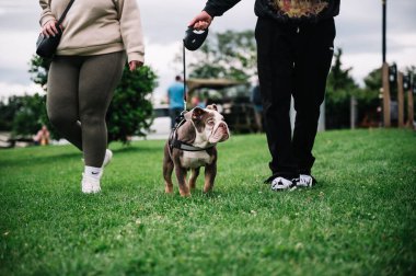 Genç bir adam kollarıyla küçük bir köpeğin üzerinde oturuyor..