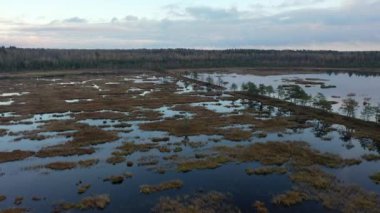 A large swamp, a landmark, a miracle of nature 4