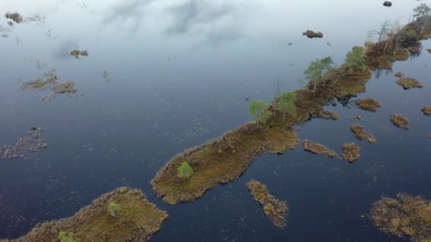 Swamp Reflects Sky Life Swamp Aerial View — Stockvideo
