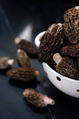 Siyah arka planda beyaz bir kasede gurme mantarları yakın plan. Bu hassas mantarlar, zengin, topraksı lezzetleri ve eşsiz dokuları için mutfak yemeklerinde çok değerlidir.