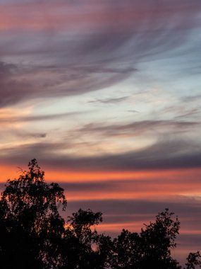 Gün batımı ve ağaç silueti - hafif gün batımı parlayan bulut görüntüsü