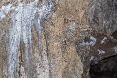 Bir mağaranın içindeki kaya oluşumları - sarkıtlar ve dikitler