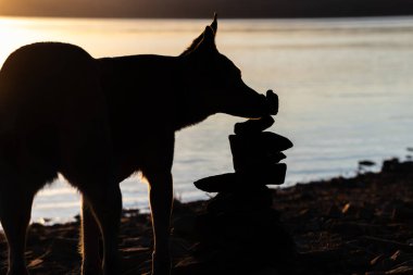 Köpek & Cairn Taş Heykel Silueti - Köpek taş heykeli dürtüyor