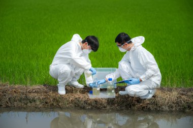 Dünyayı kurtarıyorum. Çevre araştırmacıları, kanal suyunun toksik sızıntı, nehir atığı örnekleme durumunu araştırıyor. Bilim insanları su kalitesi ve analizi için su örnekleri topluyor.