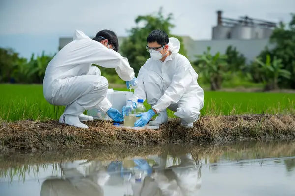 Dünyayı kurtarıyorum. Çevre araştırmacıları, kanal suyunun toksik sızıntı, nehir atığı örnekleme durumunu araştırıyor. Bilim insanları su kalitesi ve analizi için su örnekleri topluyor.