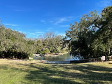 Orlando, Florida 'da temiz bir Florida Baharı.