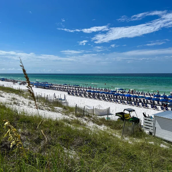 stock image Watercolor, FL USA - July 25, 2022:  An aerial view of the Beach with Blue Umbrella and Lounge Chairs lined up at the Watercolor Community Club in Watercolor, Florida.