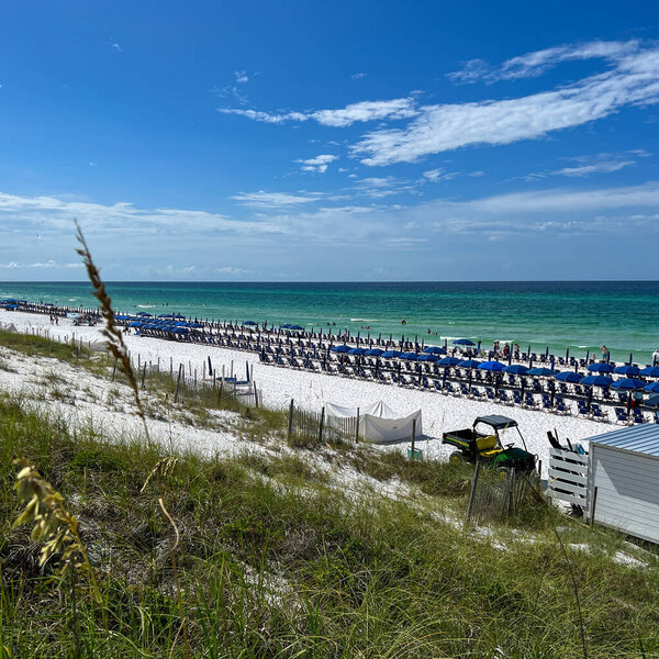 Watercolor, FL USA - July 25, 2022:  An aerial view of the Beach with Blue Umbrella and Lounge Chairs lined up at the Watercolor Community Club in Watercolor, Florida.