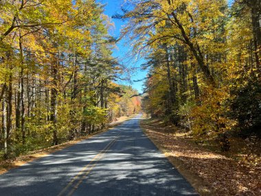 The beautiful view of the changing leaves from a vehicle on the Blue Ridge Parkway.