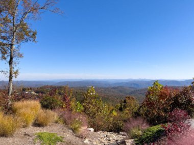 Boone, NC 'deki Blue Ridge Parkway' in sonbahar renk değiştirme sezonunda güzel bir manzarası..