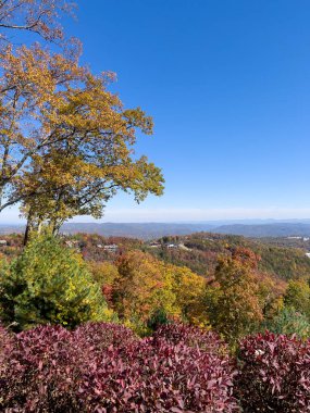 Boone, NC 'deki Blue Ridge Parkway' in sonbahar renk değiştirme sezonunda güzel bir manzarası..