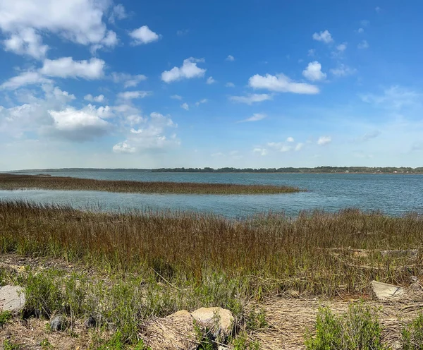 Ein Sumpfiges Ufer Beaufort South Carolina Einem Schönen Frühlingstag — Stockfoto