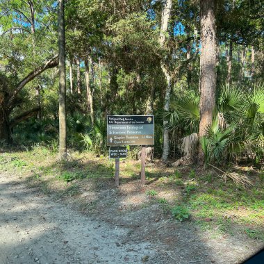 Jacksonville, Florida 'daki Timucuan Ekolojik Ulusal Parkı' ndaki ormandan geçeceğiz..
