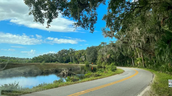 Conduciendo Través Zona Pantanosa Del Noreste Florida — Foto de Stock