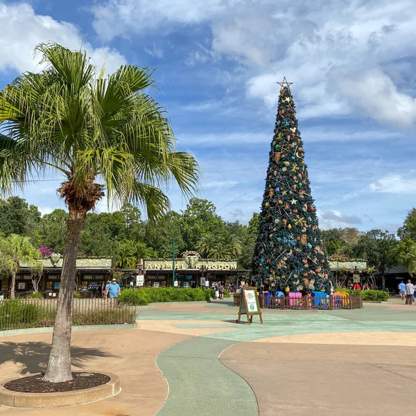 Orlando Usa Novembre 2020 Entrée Animal Kingdom Pendant Noël Walt — Photo