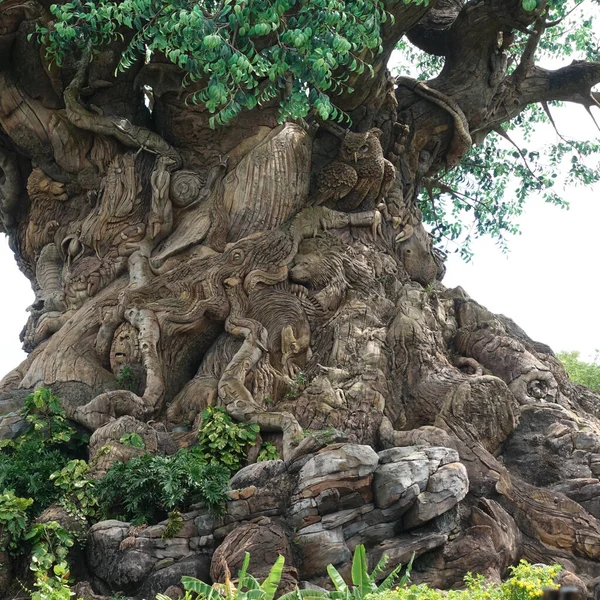 Orlando Usa Május 2019 Tree Life Animal Kingdom Walt Disney — Stock Fotó