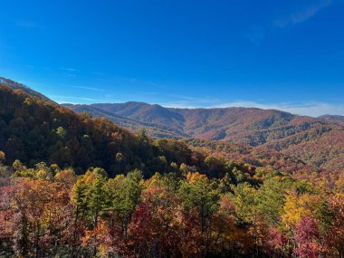 Boone, NC 'deki Blue Ridge Parkway' in sonbahar renk değiştirme sezonundaki görüntüsü.