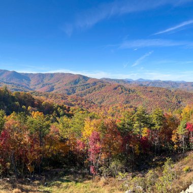 Boone, NC 'deki Blue Ridge Parkway' in sonbahar renk değiştirme sezonundaki görüntüsü.