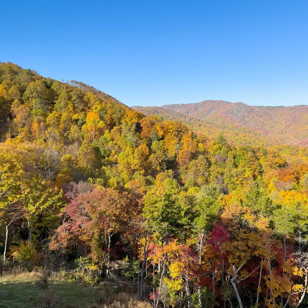 A view of the Blue Ridge Parkway in Boone, NC during the autumn fall color changing season.