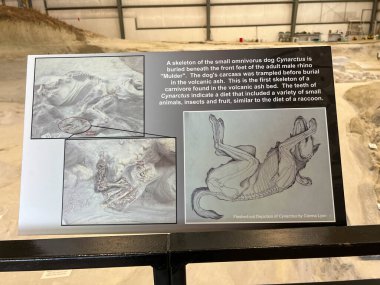 Royal, NE USA - 13 Mayıs 2023: Royal, NE 'deki Rhino Barn Ashfall Fossil Yatakları Devlet Parkında köpek bilgilendirme tabelası.