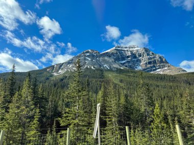 Kanada 'daki Yoho Ulusal Parkı' ndan geçerken güzel manzara..