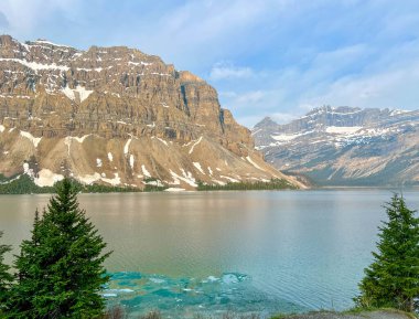 Hector Lake 'in Kanada' daki Banff Ulusal Parkı 'ndaki Buz Tarlaları Parkway boyunca manzarası.