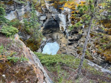 Jasper Ulusal Parkı 'ndaki güzel Athabasca Şelalesi, AB Kanada.
