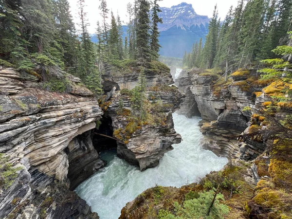 Gyönyörű Athabasca Vízesés Jasper Nemzeti Park Közelében Jasper Kanada — Stock Fotó
