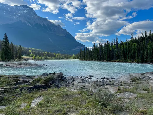Gyönyörű Athabasca Folyó Közelében Athabasca Vízesés Jasper Nemzeti Park Közelében — Stock Fotó