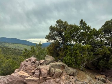 Wyoming ve Utah 'taki Flaming Vadisi' nden Yeşil Nehir ve bulutlu bir yaz gününde güzel dağlarla geçmek..