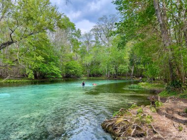 Fort White, FL USA - 2 Mart 2023: Güzel güneşli bir günde Fort White, Florida yakınlarındaki Gilcrist Blue Springs 'in berrak mavi sularında yüzen insanlar.