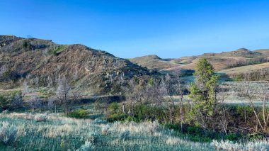 Kuzey Dakota 'daki Theodore Roosevelt Ulusal Parkı' nda Vahşi Bison 'la Badlands tepelerinden ve dağlardan geçmek.