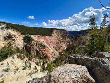 Yellowstone Ulusal Parkı 'ndaki Yellowstone Büyük Kanyonu güneşli bir günde Wyoming ABD.