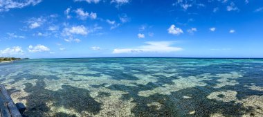 Cayman Adaları 'nın kuzey tarafındaki resif güneşli bir günde.