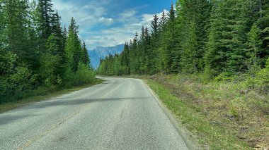 Bir bahar günü Jasper, AB Kanada yakınlarındaki Jasper Ulusal Parkı 'nda Miette Kaplıcaları yolunda araba sürerken.