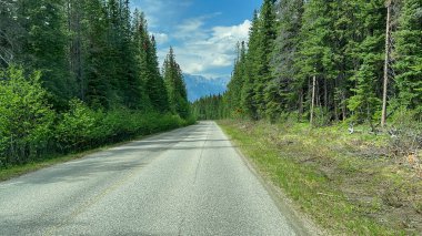 Bir bahar günü Jasper, AB Kanada yakınlarındaki Jasper Ulusal Parkı 'nda Miette Kaplıcaları yolunda araba sürerken.