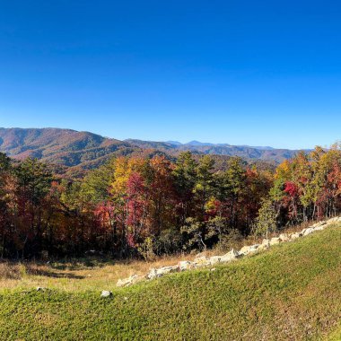 Boone, NC 'deki Blue Ridge Parkway' in sonbahar renk değiştirme sezonundaki görüntüsü.