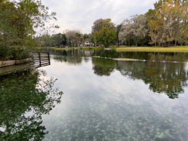 Bulutlu bir günde Florida, Dunnellon 'daki Rainbow River Eyalet Parkı' nda bahar..