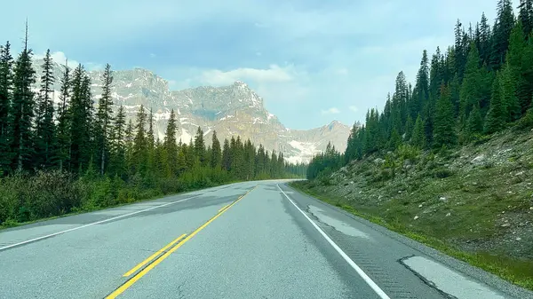Güneşli bir bahar gününde, Jasper ve Banff Ulusal Parkı 'ndaki buzul tarlalarında sürüş yapmak..