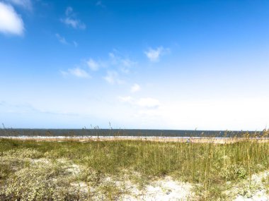 Florida 'daki Fort Clinch Eyalet Parkı' nda güneşli bir günde Atlantik Okyanusu kıyısı