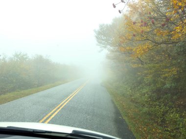 Değişen yaprakların güzel manzarası sisli bir günde Blue Ridge Parkway 'de.